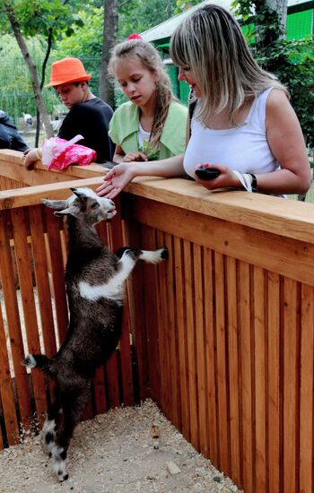 Petting zoo in Vladivostok