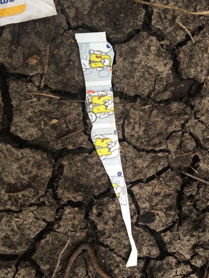 Malaysian Boeing crashes in Ukraine