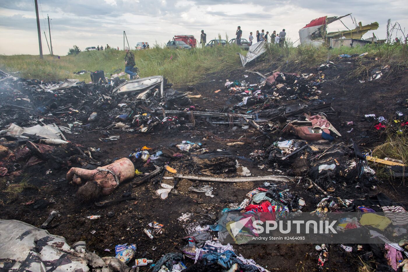 Malaysian Boeing crashes in Ukraine