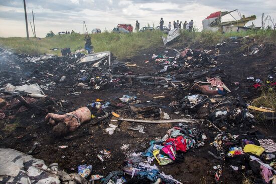 Malaysian Boeing crashes in Ukraine