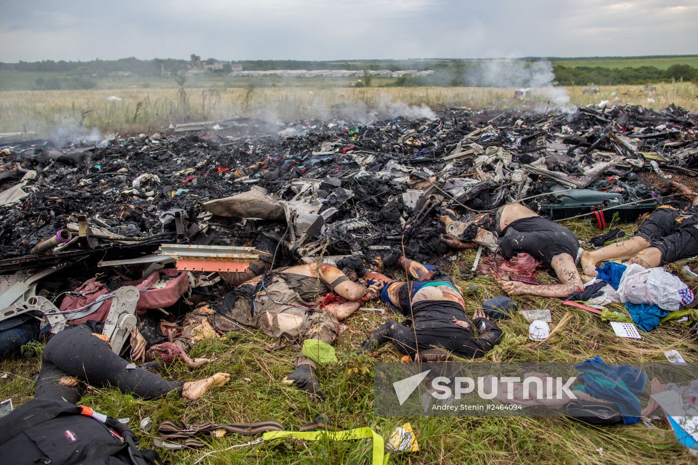 Malaysian Boeing crashes in Ukraine