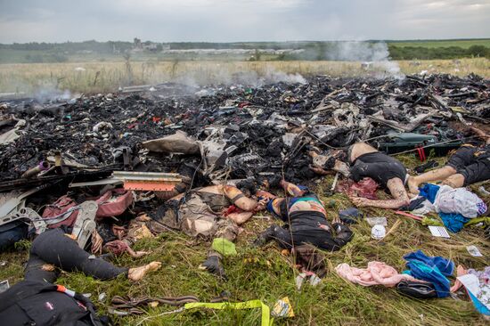 Malaysian Boeing crashes in Ukraine