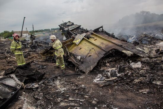 Malaysian Boeing crashes in Ukraine