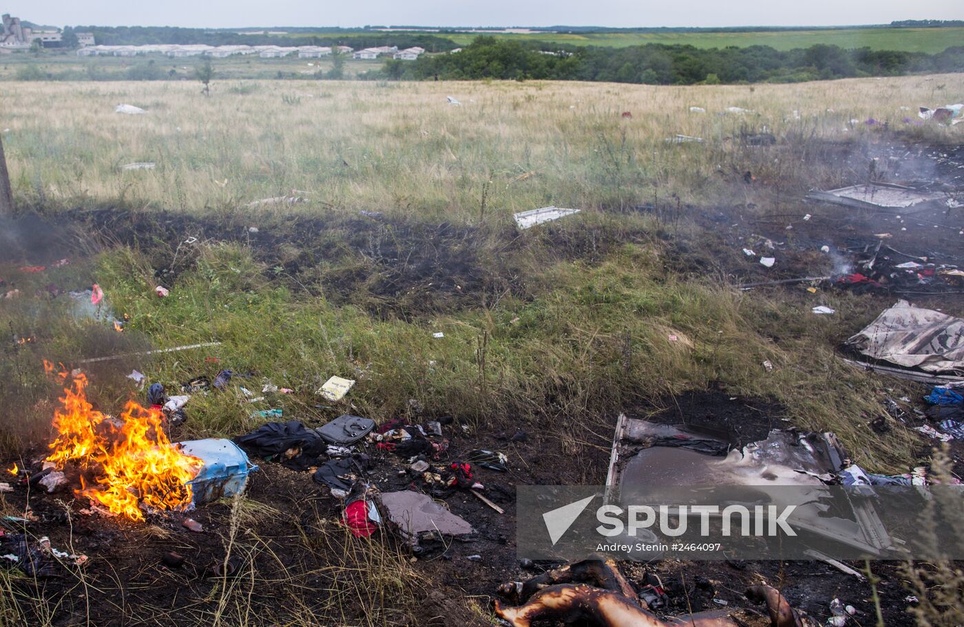 Malaysian Boeing crashes in Ukraine
