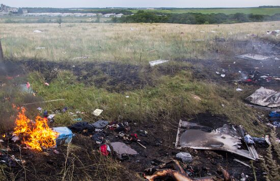 Malaysian Boeing crashes in Ukraine