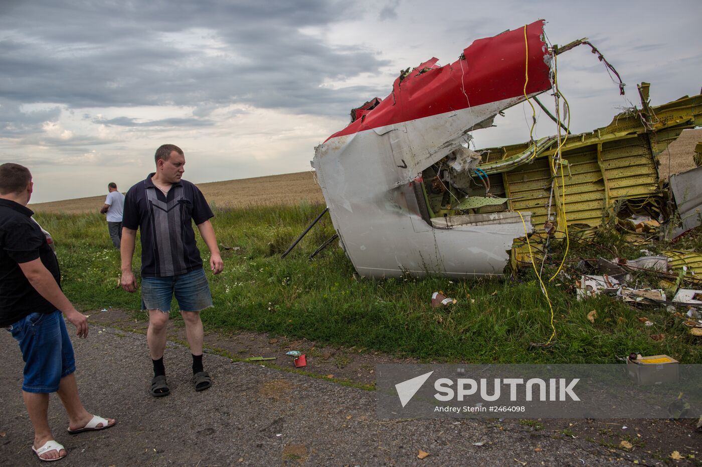 Malaysian Boeing crashes in Ukraine