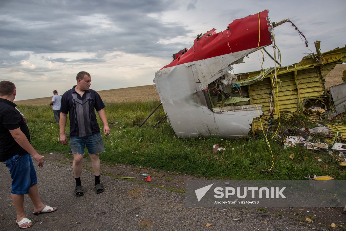 Malaysian Boeing crashes in Ukraine