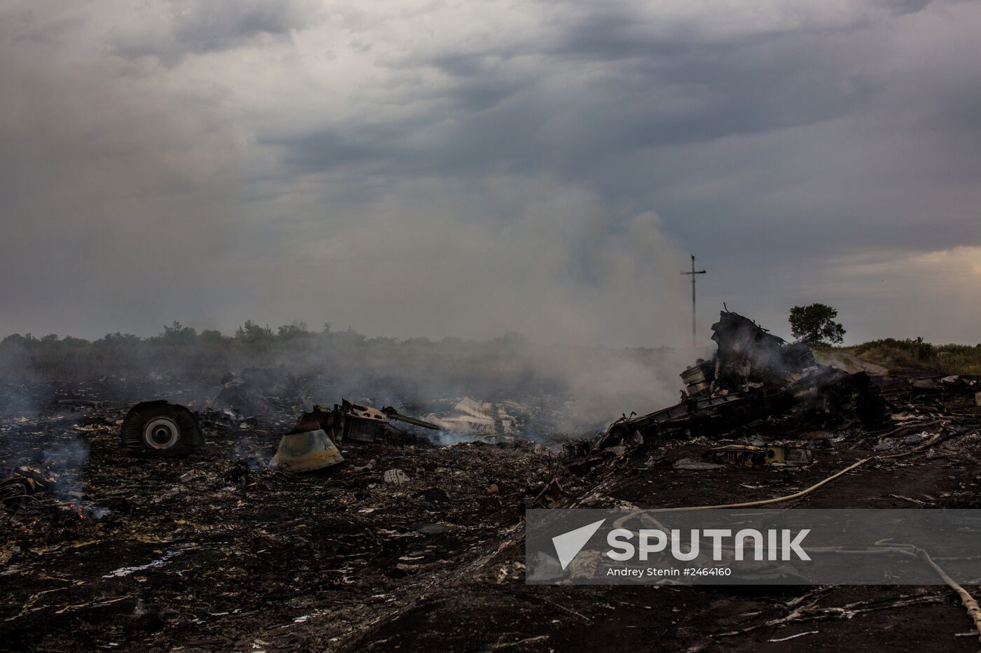 Malaysian Boeing crashes in Ukraine