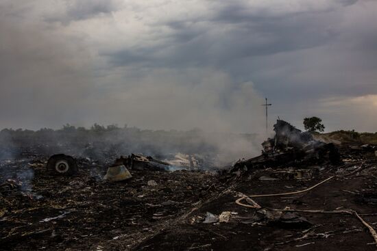 Malaysian Boeing crashes in Ukraine