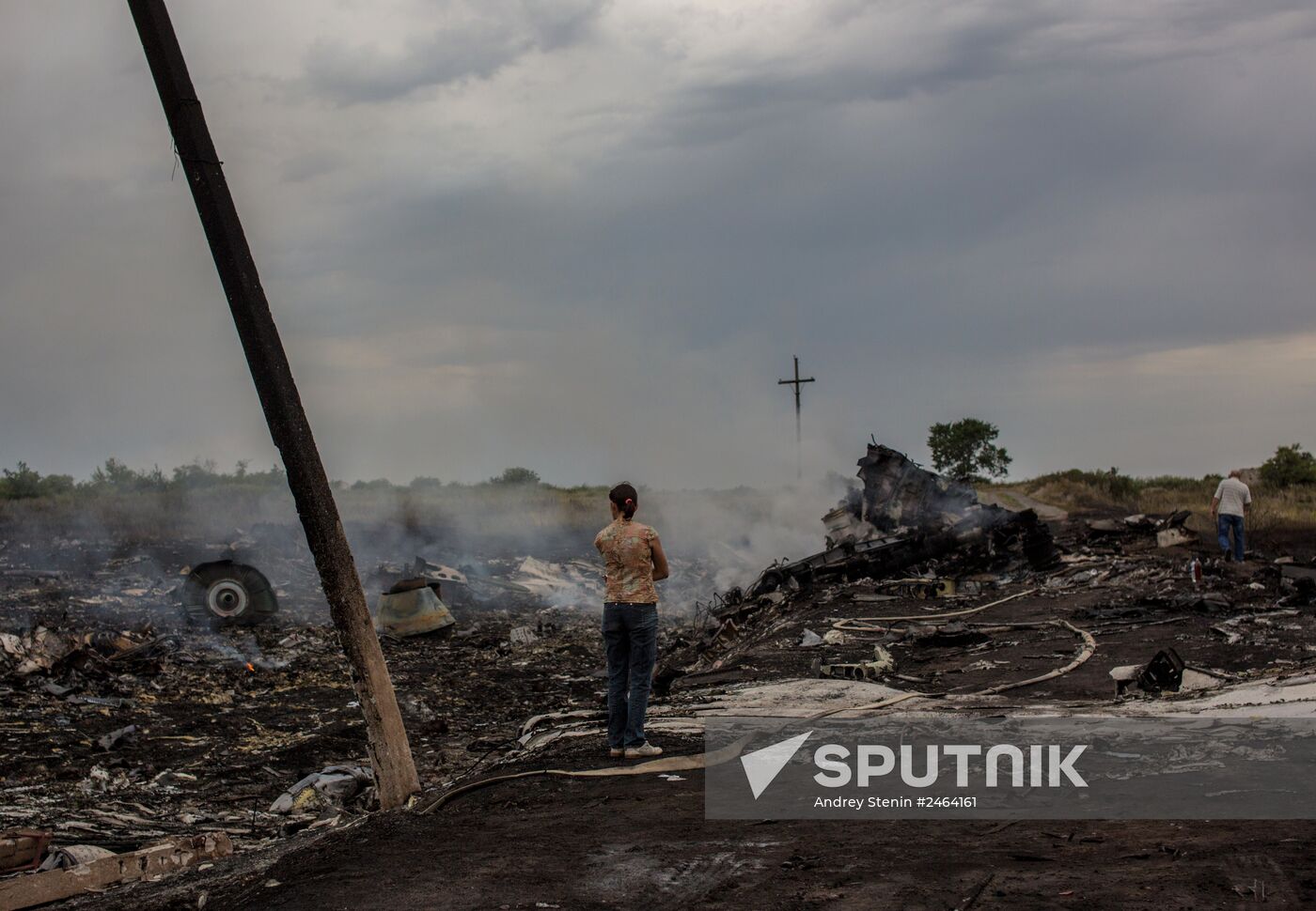 Malaysian Boeing crashes in Ukraine