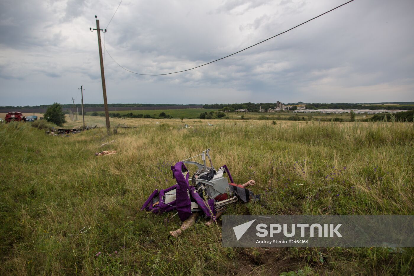Malaysian Boeing crashes in Ukraine