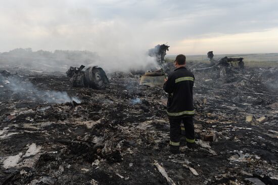 Malaysian Boeing crashes in Ukraine