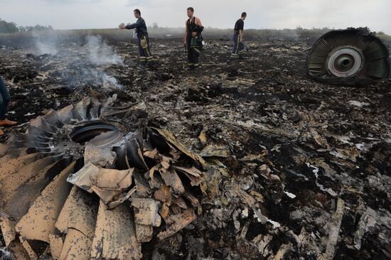 Malaysian Boeing crashes in Ukraine