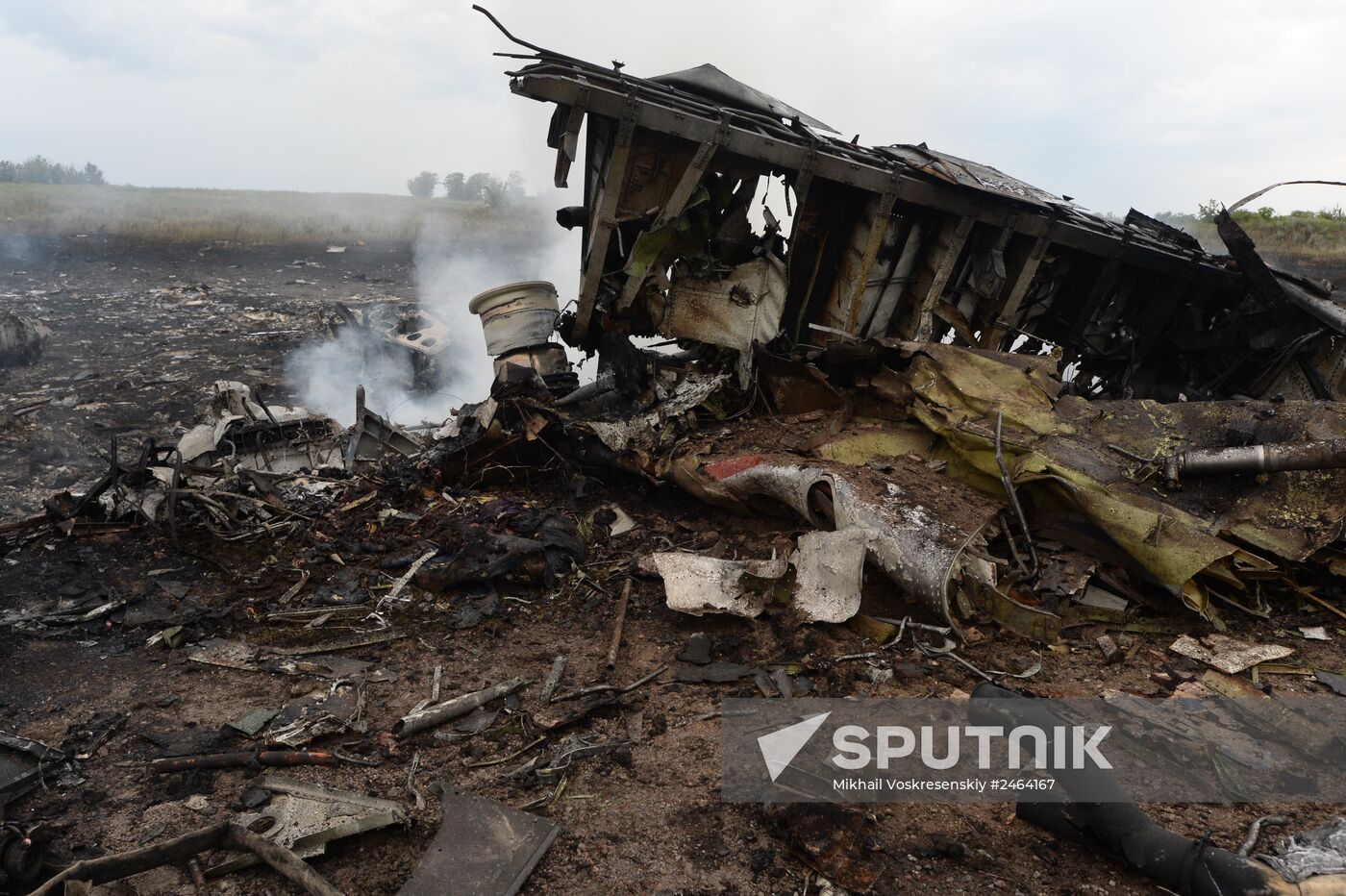 Malaysian Boeing crashes in Ukraine