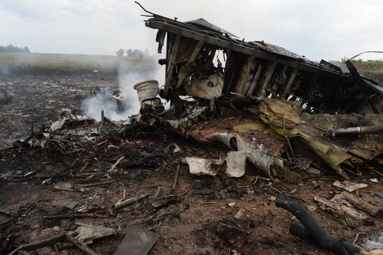 Malaysian Boeing crashes in Ukraine