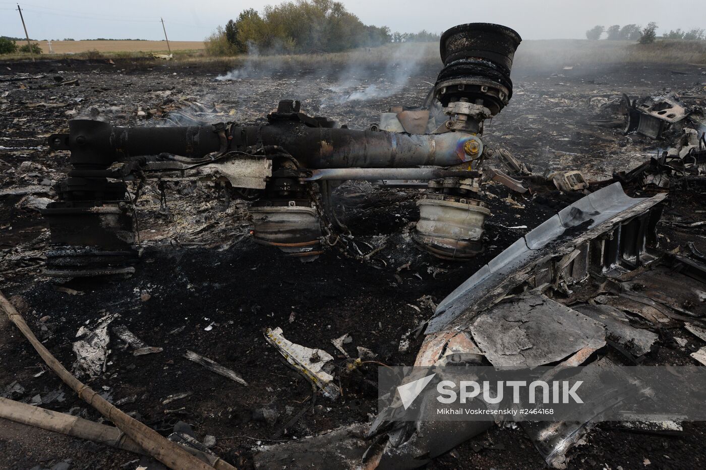 Malaysian Boeing crashes in Ukraine