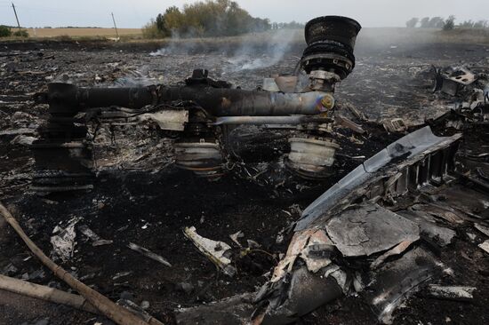 Malaysian Boeing crashes in Ukraine