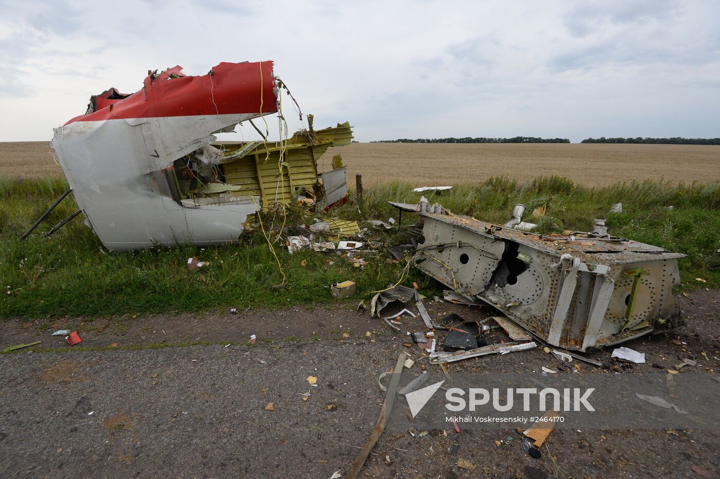 Malaysian Boeing crashes in Ukraine