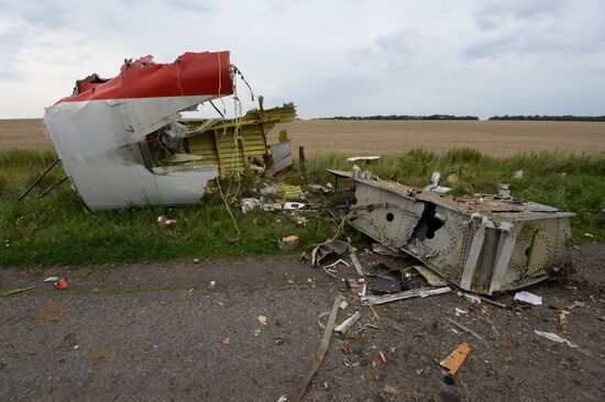 Malaysian Boeing crashes in Ukraine