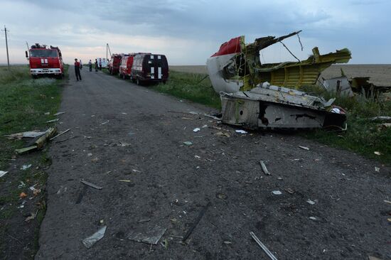 Malaysian Boeing crashes in Ukraine