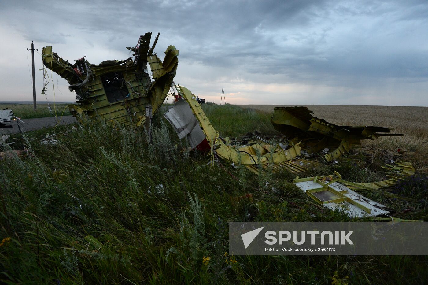 Malaysian Boeing crashes in Ukraine