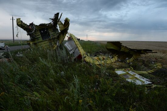 Malaysian Boeing crashes in Ukraine
