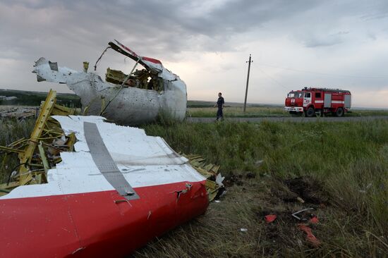 Malaysian Boeing crashes in Ukraine