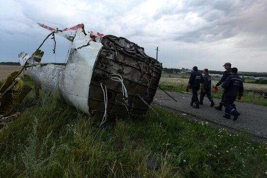 Malaysian Boeing crashes in Ukraine