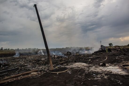 Malaysian Boeing crashes in Ukraine
