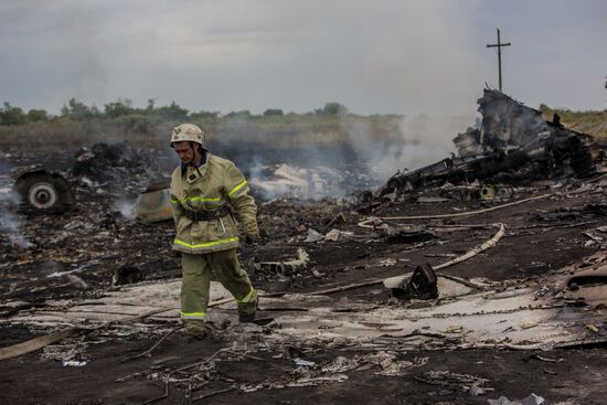 Malaysian Boeing crashes in Ukraine