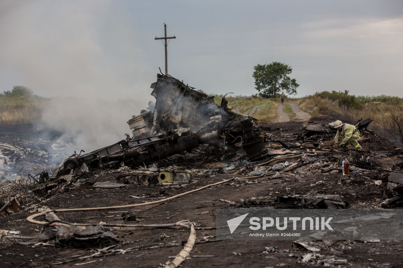 Malaysian Boeing crashes in Ukraine