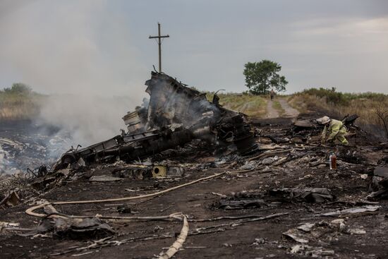 Malaysian Boeing crashes in Ukraine