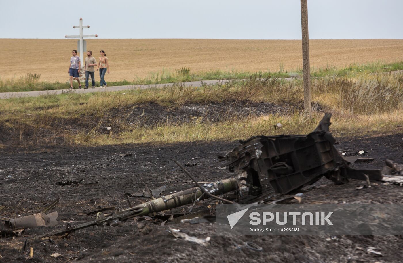 Malaysian Boeing crashes in Ukraine