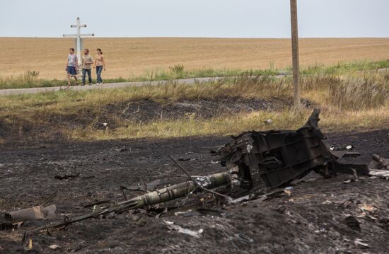 Malaysian Boeing crashes in Ukraine