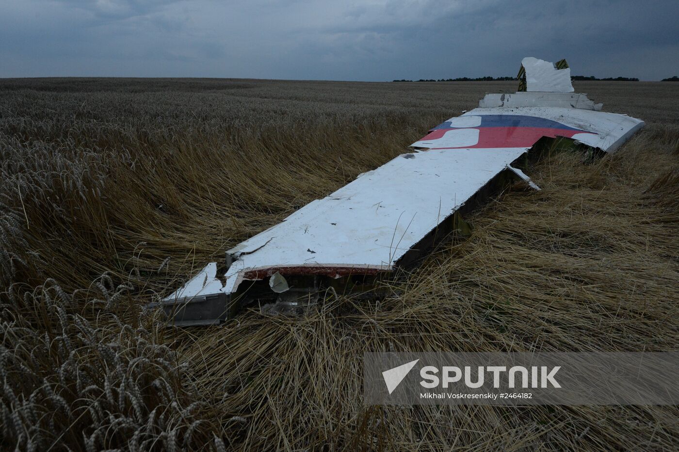 Malaysian Boeing crashes in Ukraine