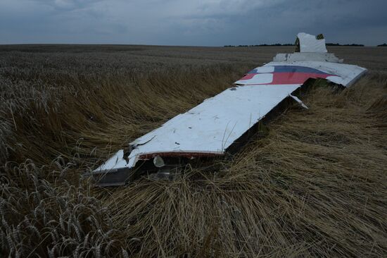 Malaysian Boeing crashes in Ukraine