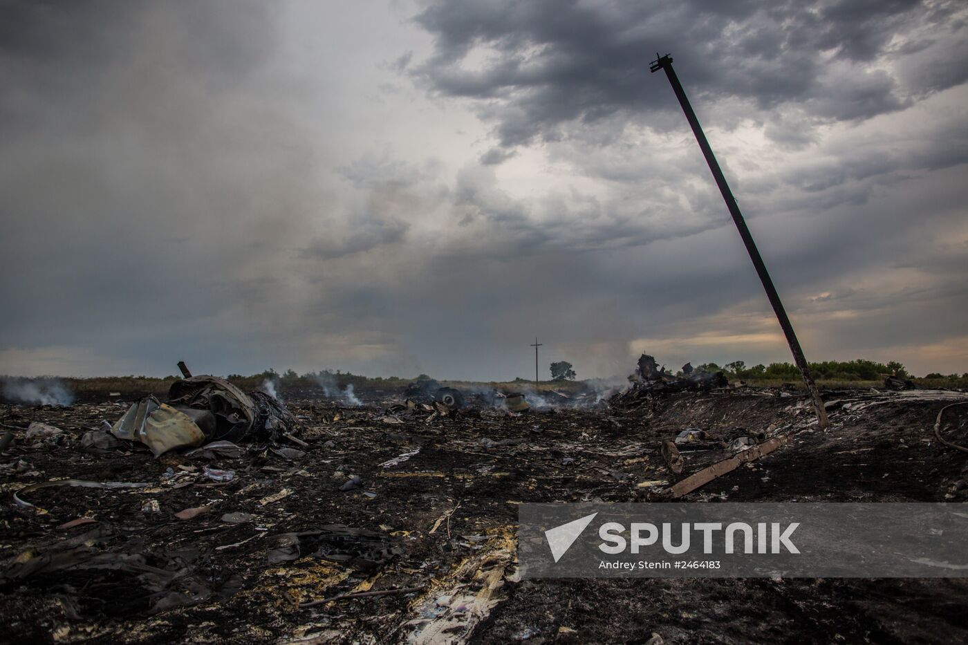 Malaysian Boeing crashes in Ukraine