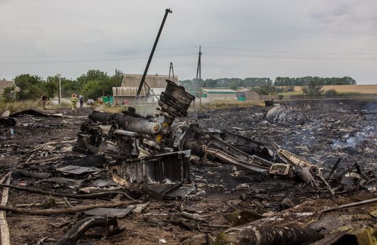 Malaysian Boeing crashes in Ukraine