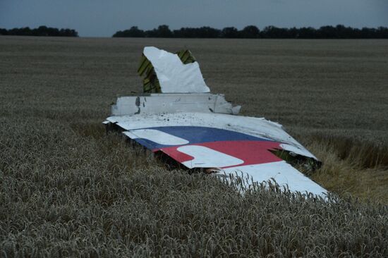 Malaysian Boeing crashes in Ukraine
