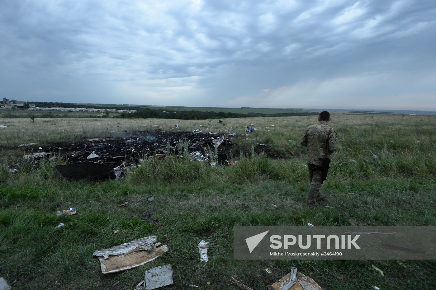 Malaysian Boeing crashes in Ukraine
