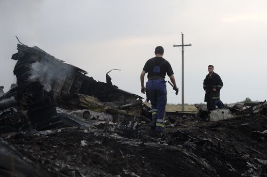 Malaysian Boeing crashes in Ukraine