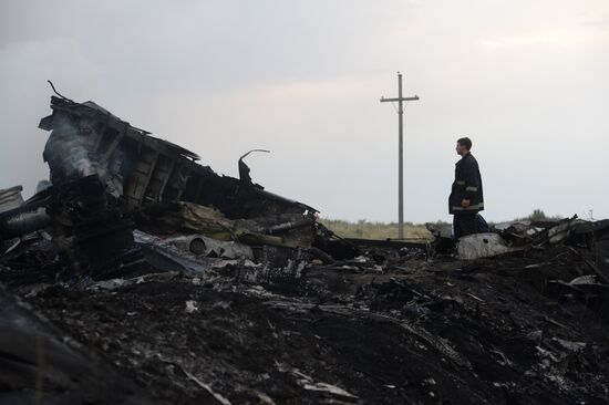 Malaysian Boeing crashes in Ukraine
