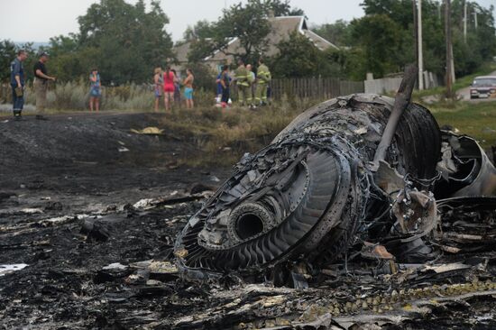Malaysian Boeing crashes in Ukraine