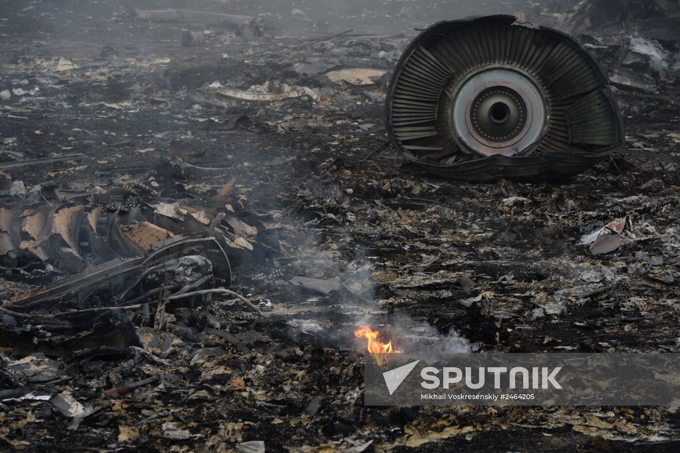 Malaysian Boeing crashes in Ukraine