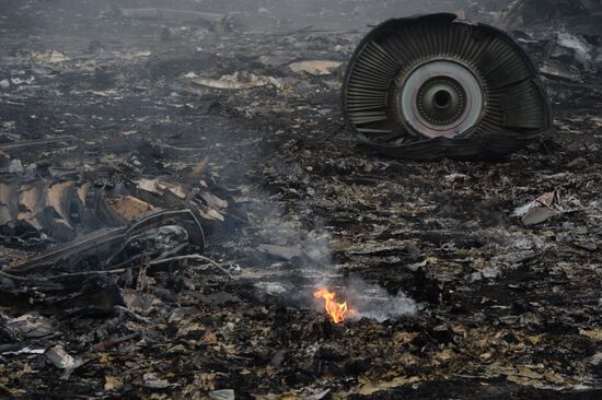 Malaysian Boeing crashes in Ukraine