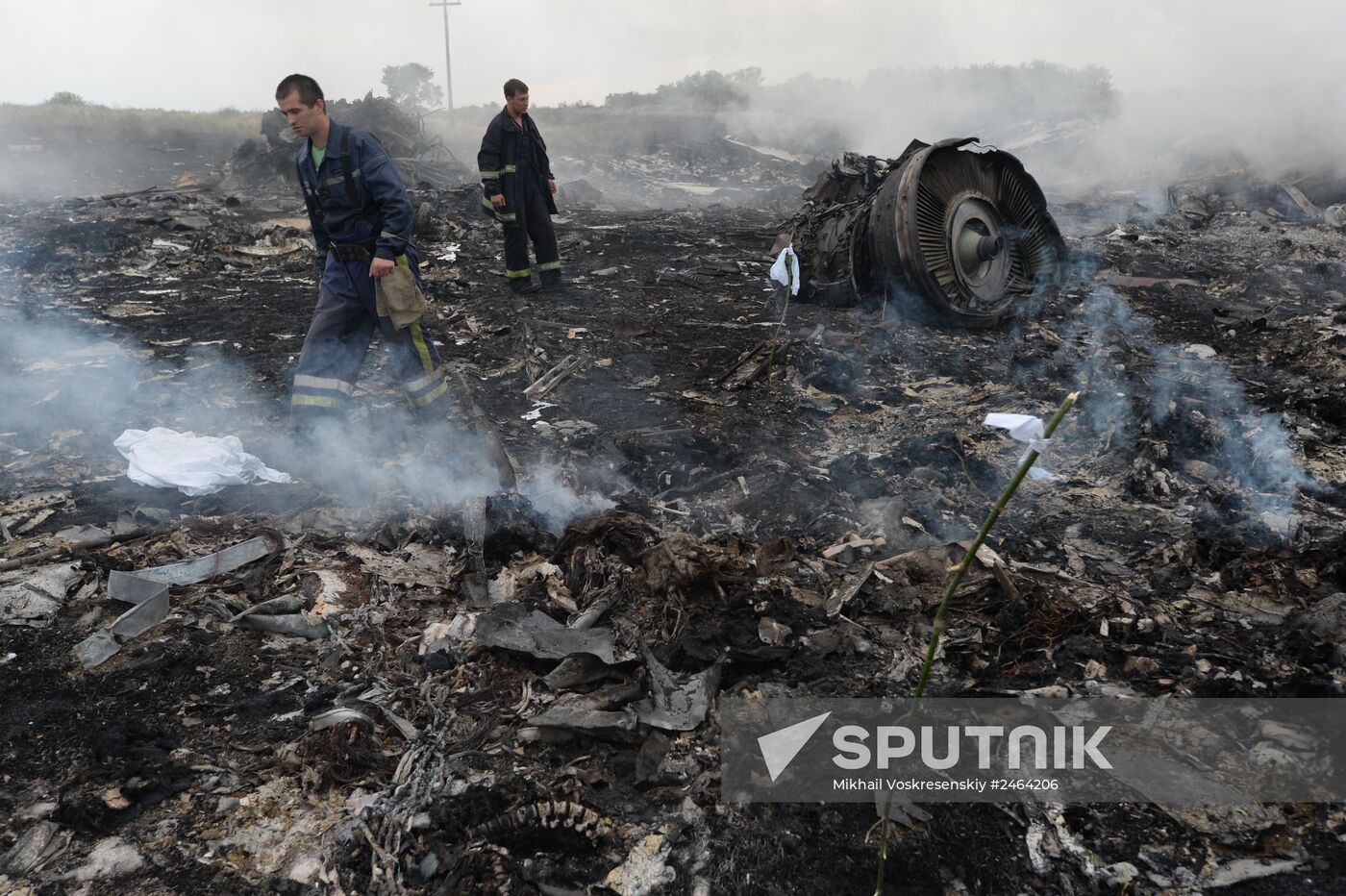 Malaysian Boeing crashes in Ukraine