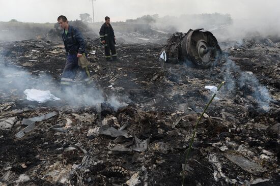 Malaysian Boeing crashes in Ukraine