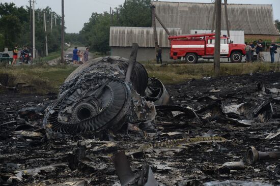 Malaysian Boeing crashes in Ukraine