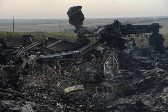 Malaysian Boeing crashes in Ukraine