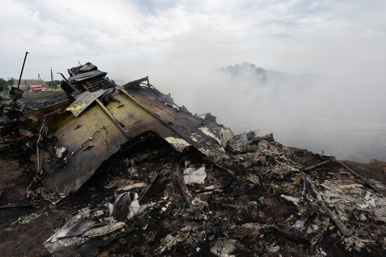 Malaysian Boeing crashes in Ukraine